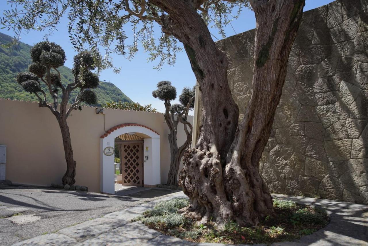 Antonietta 5* Ischia