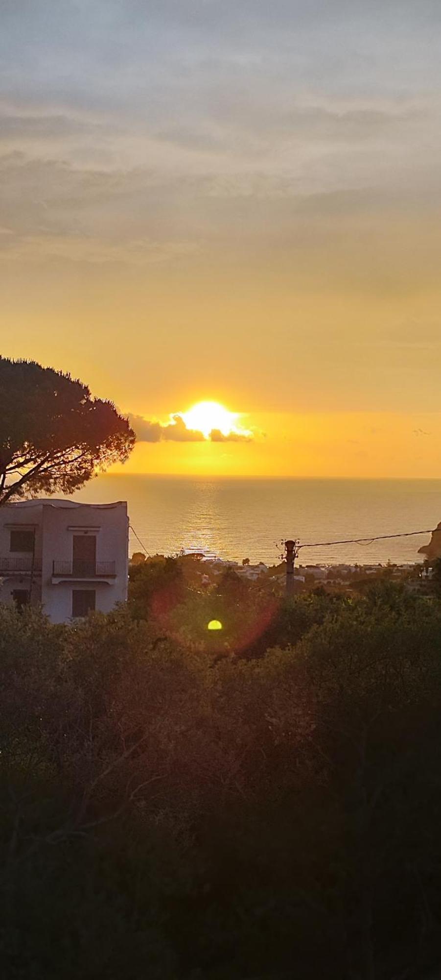 Antonietta Ischia